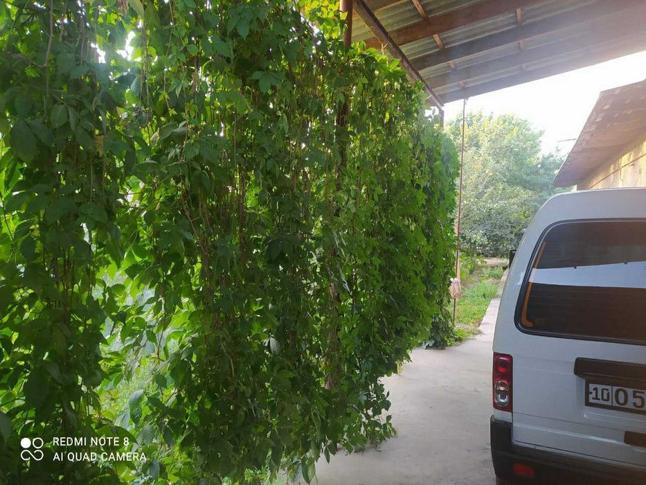 Uy sotiladi srochna !!!