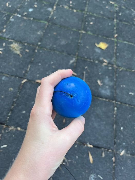 Kendama-ken Miguel, tama higgs x lotus 2023
