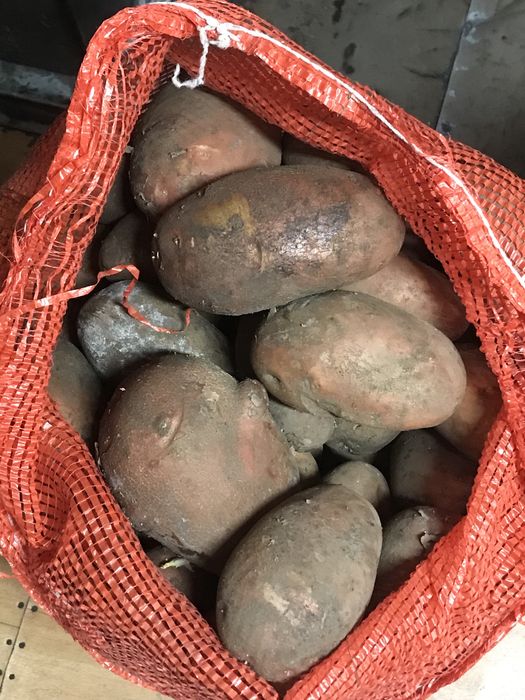 Домашний картофель