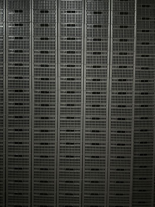 Plastik yashik va karzinkalar