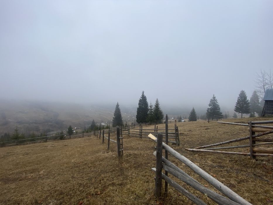 Vand teren 5000 de m patrati, Comuna Breaza, Jud Suceava