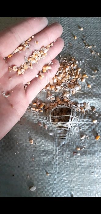 Отходы полова отруби гороховый Достав