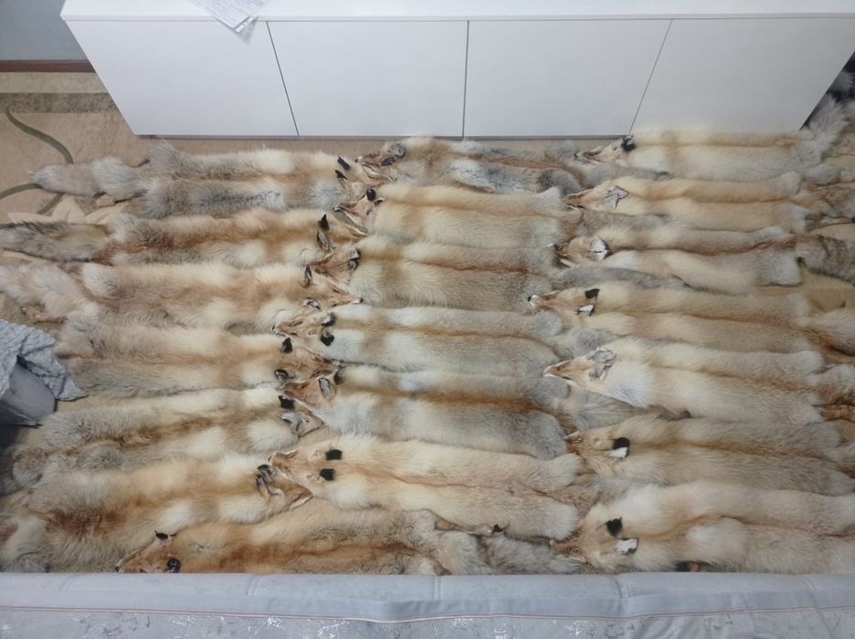 Мех  лисы натуральный.