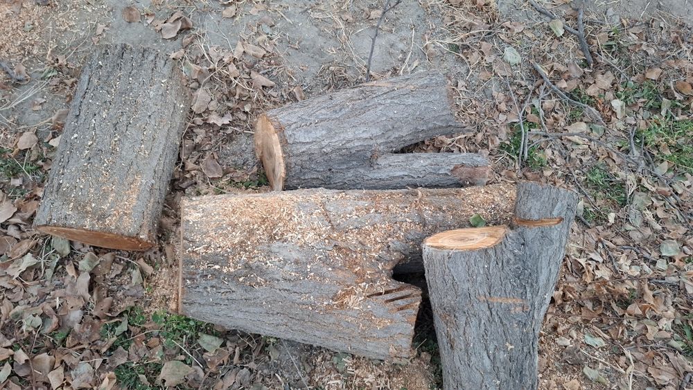 Утин сотилади...