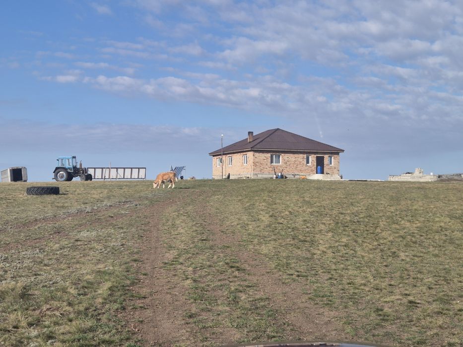 Продам  фермерское хозяйство