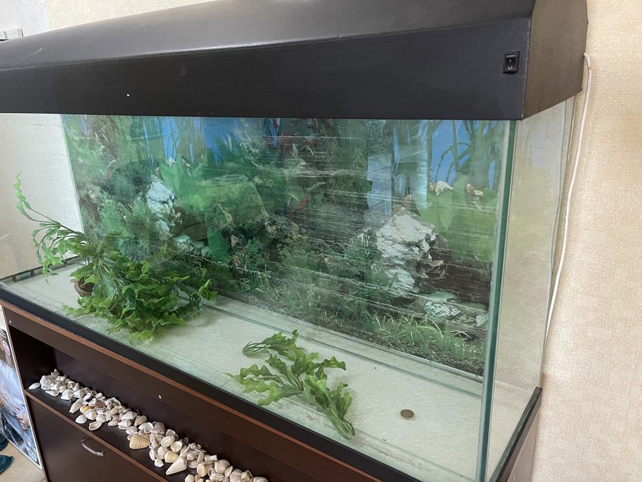 Аквариум - 295 литров