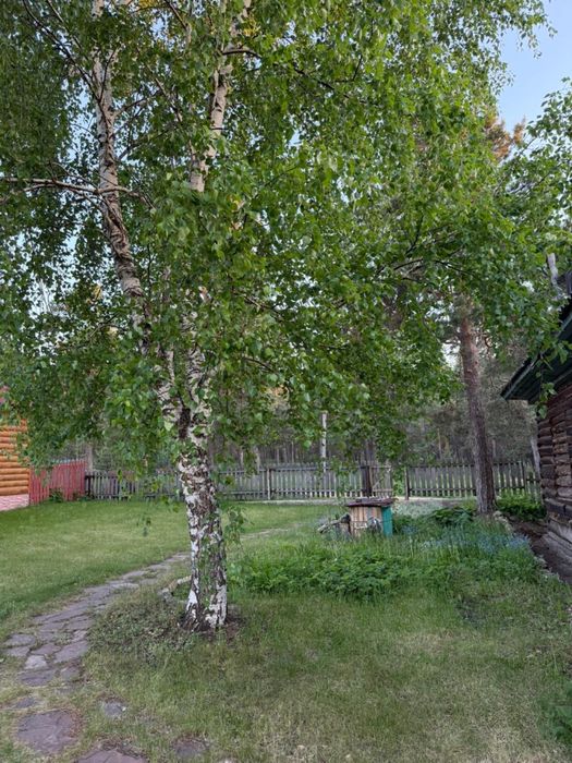 Дом посуточно у Леса.