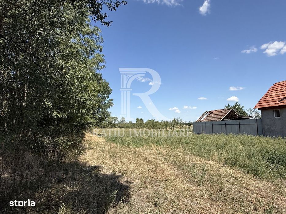 Teren de vanzare | 2600 mp | Gurbediu | Bihor