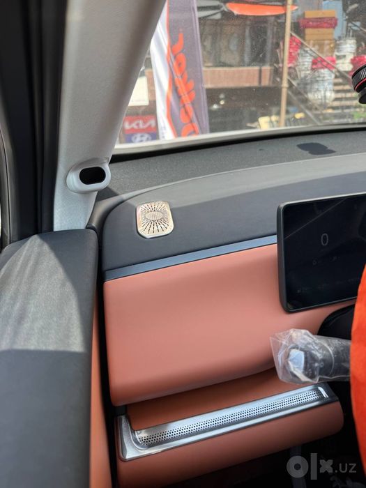 leapmotor c16 sidena chexol
