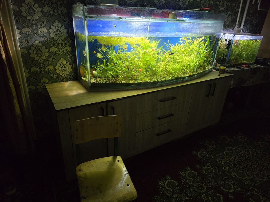 Аквариум сотилади