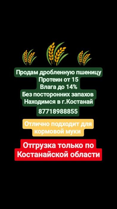 Продам дробленную пшеницу Костанай