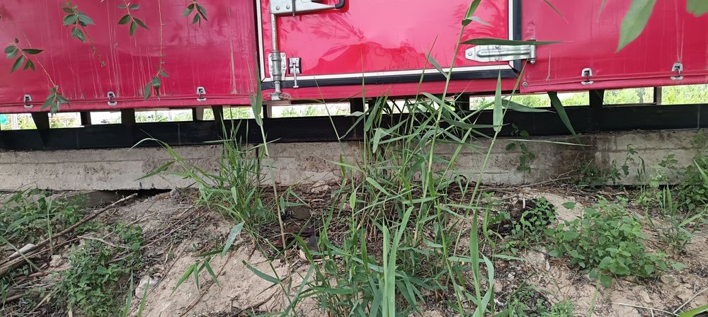 Бутка газел 4/2 сотилади