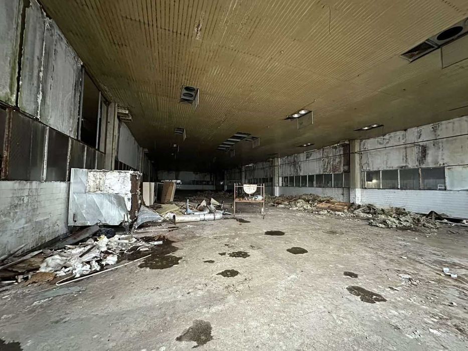 Продава се Промишлена сграда в Пловдив, Индустриална зона - Тракия - 17000 кв.м за 589 €/кв.м - Снимка #6