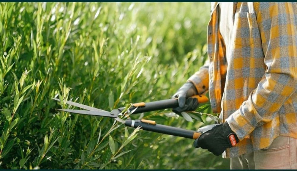 Богбонлик ишларни киламан