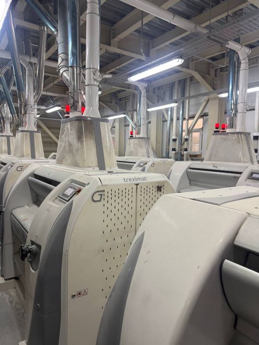 Продаётся Мукомольный завод: