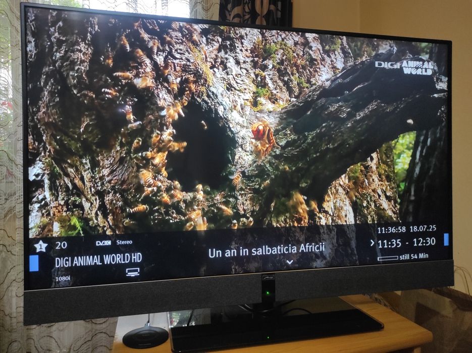 Smart tv Metz 123 cm