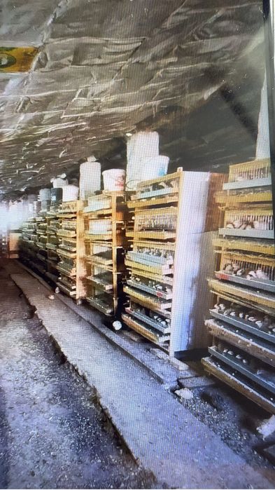 База (для животновотства)