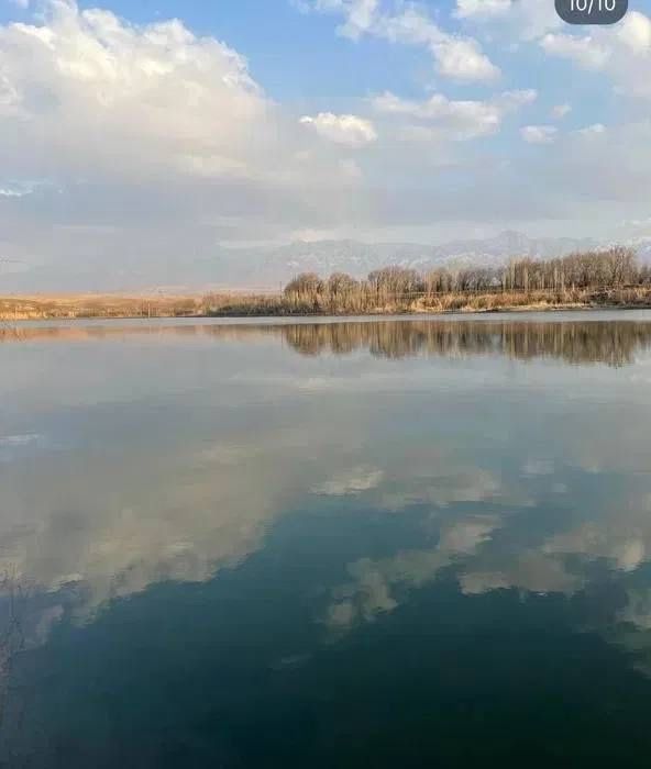 Аренда пруда 4 гектар, рыбхоз