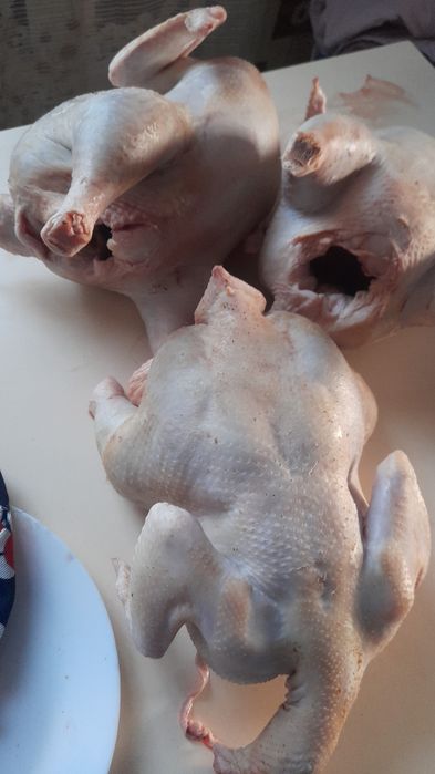 Куры бройлеры домашние мясо