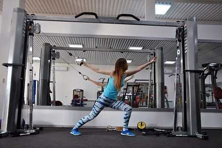 Кроссовер регулируемый Impulse IFCC-10. Impulse ifcc-10 krossover.