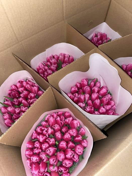 Тюльпаны к 8 марта