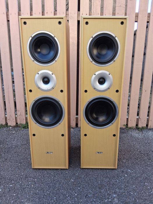 Amplificator Japon.Tehnics 250W-stereo -BOXELE AEG-separat -