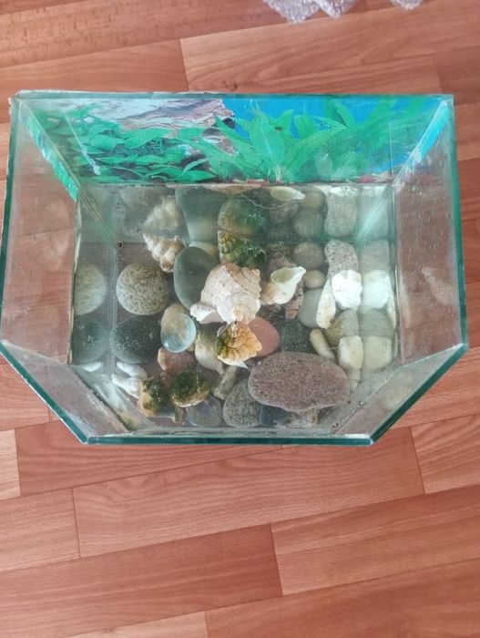 Продам аквариум 10л