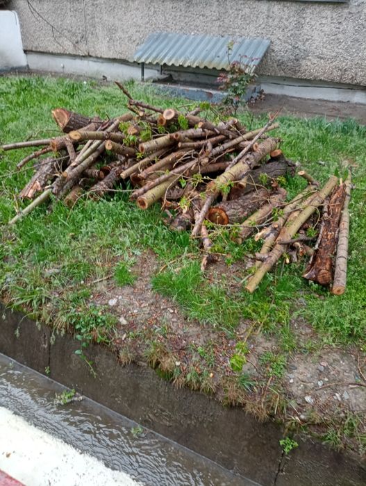 Дрова бесплатно, самовывоз