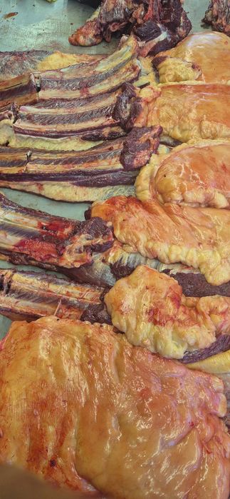 Семиз тайлар бар