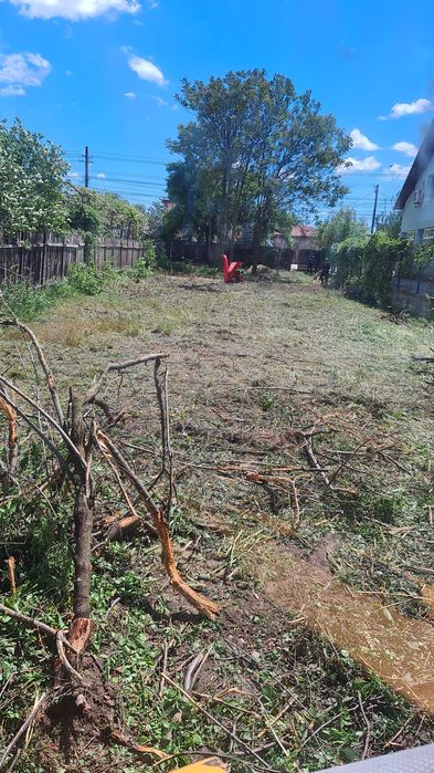 Servicii complete cosire defrișare și eliminare a ambroziei tocare