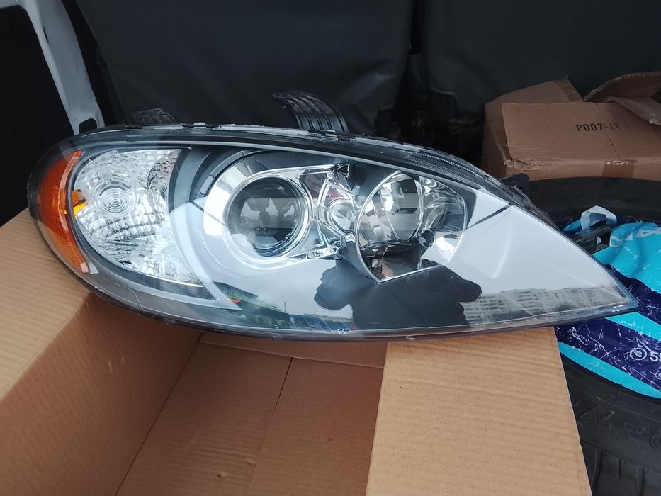 Жентра американка