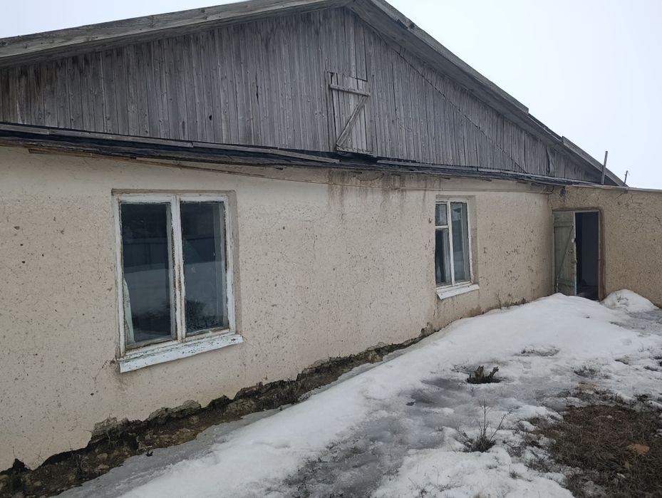 Уй сатылады Чижа 2 Продам