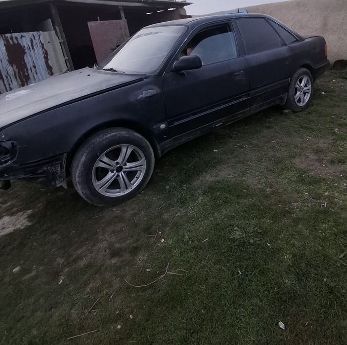 Жағдаиы орта жүмысы бар