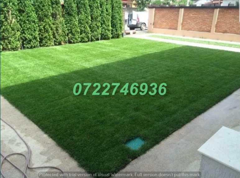 Gazon Verde Premium pentru Curți Perfect Amenajate