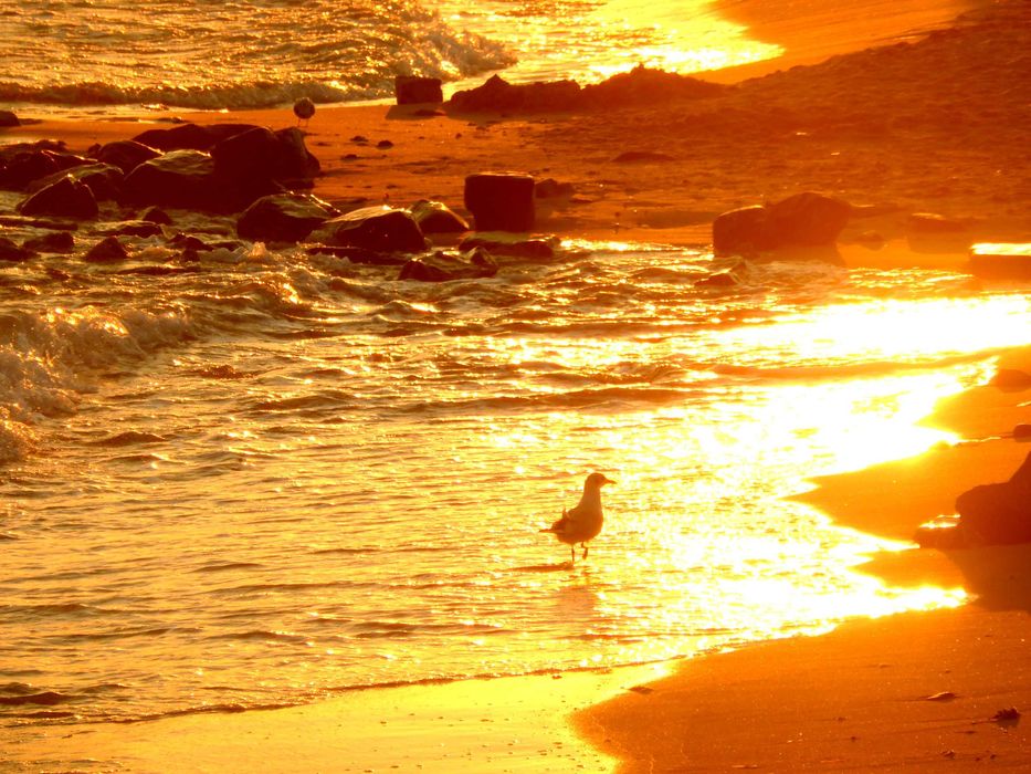 Продава се Тристаен апартамент в Свети Влас - 90 кв.м за 2223 €/кв.м - Снимка #21