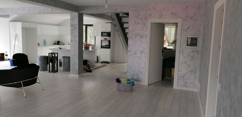 SOLID BUILDS S.R.L interioare si exterioare Echipa tinara si dinamica