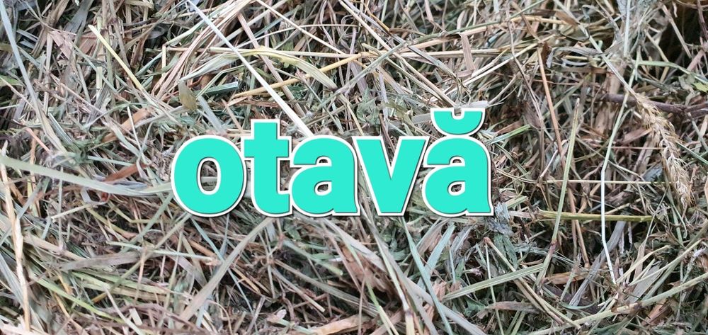 Baloti rotunzi de lucernă cu dimensiune 120/120