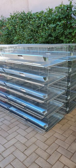 Rastel + 5 cuști pentru prepelițe complet echipat