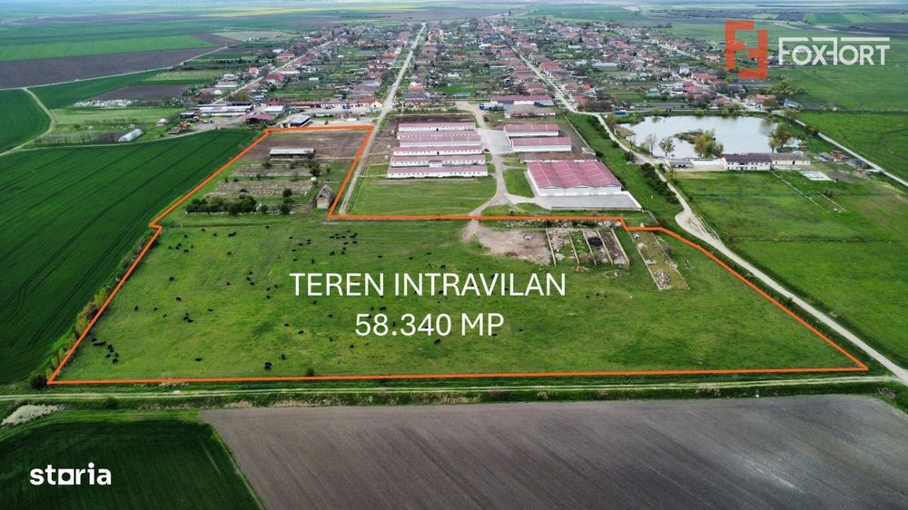 Teren intravilan cu suprafata de 58.340 mp, in Sanmartinul Sarbesc
