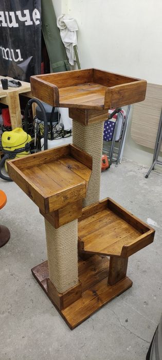 Котешка катерушка дърво