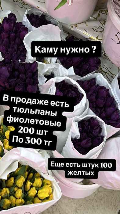 Свежие тюльпаны 300 тенге
