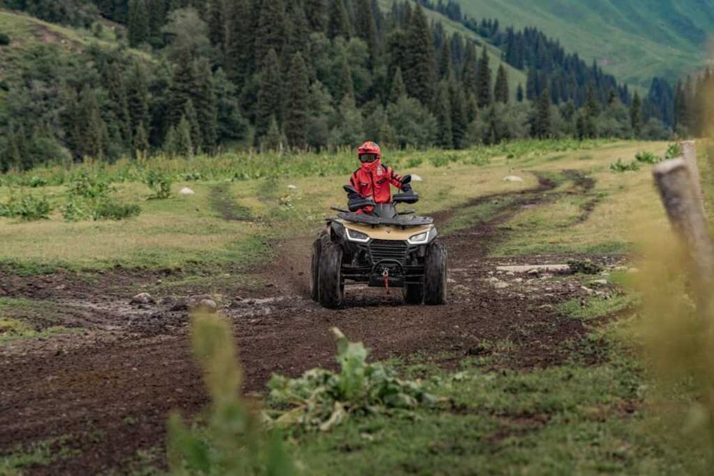 Segway AT 10 Wild Limited Nou Si In Rate