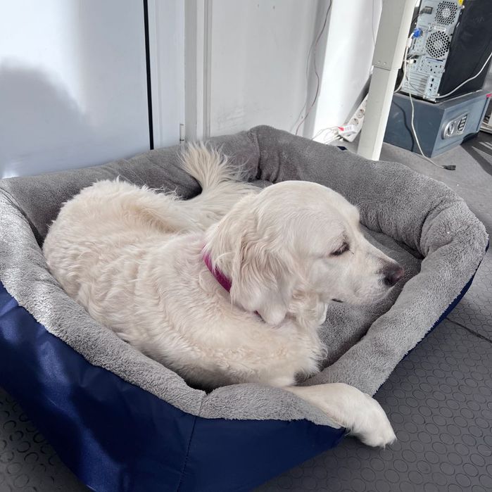 Голямо легло за куче -тъмно син  ХХЛ