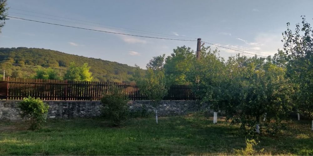 Casa de vanzare in sat Sipotele Constanta