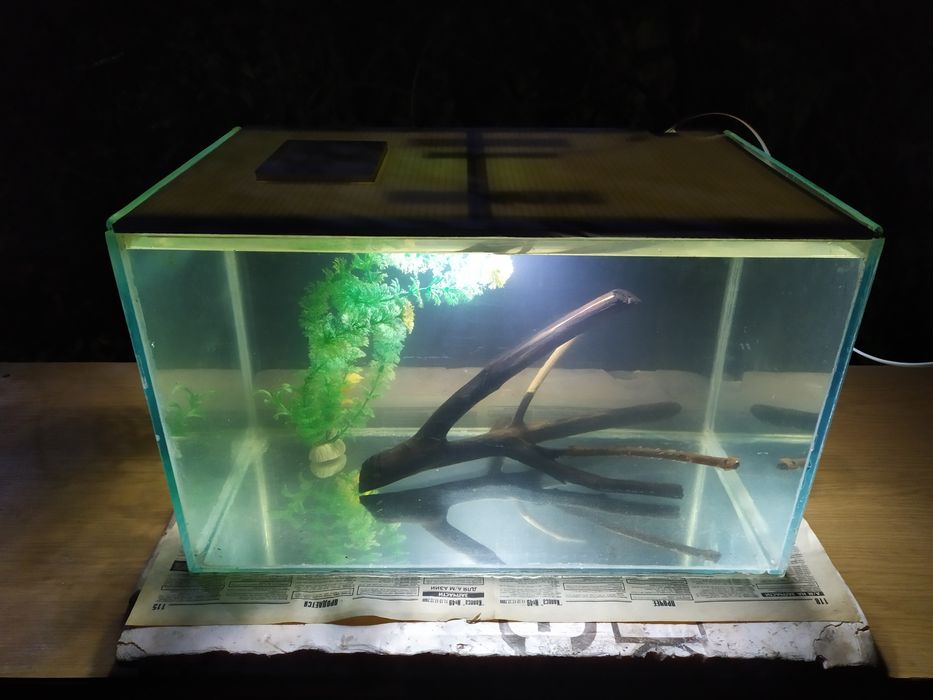 Аквариум 46л + бонусы и рыбки.
