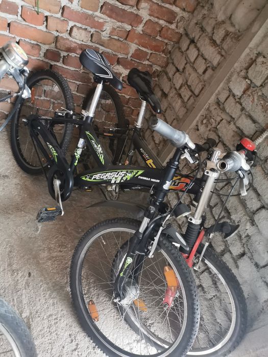 Biciclete diferite mari