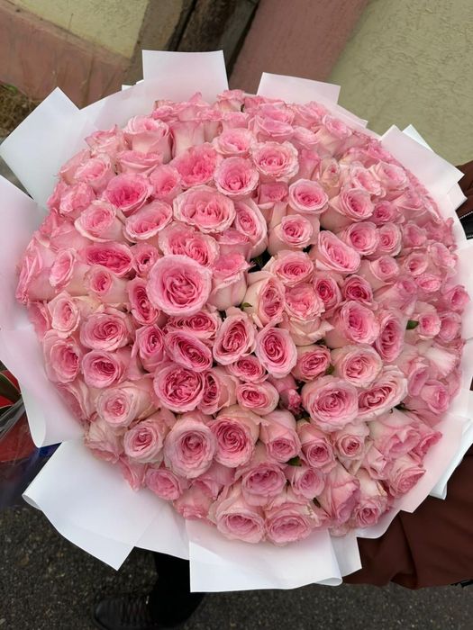 Свежие  цветочки