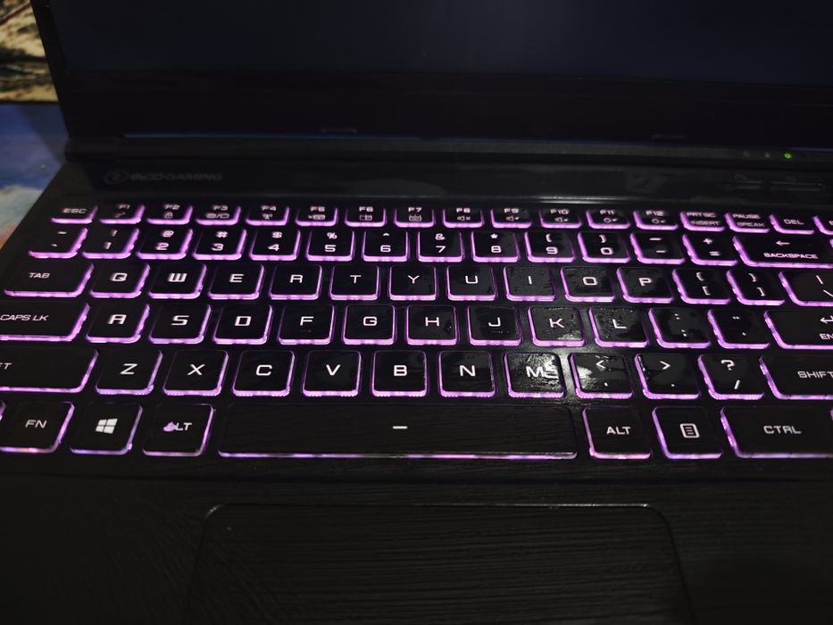 Evogaming  i5 10300h  gtx 1650   8/256