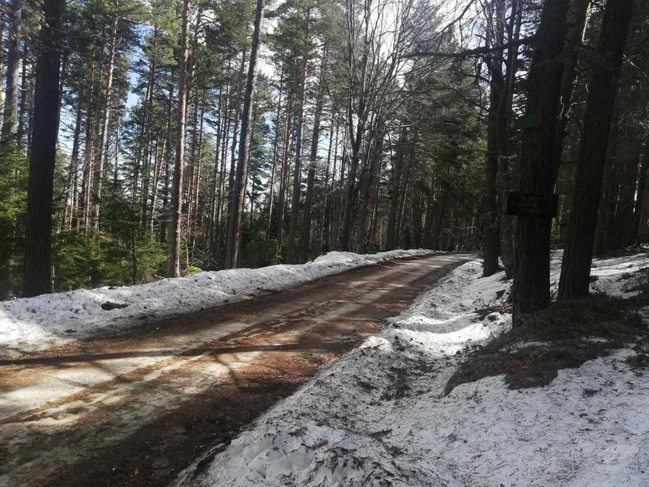 Парцел хижа Здравец до хижа Металик 100метра лице