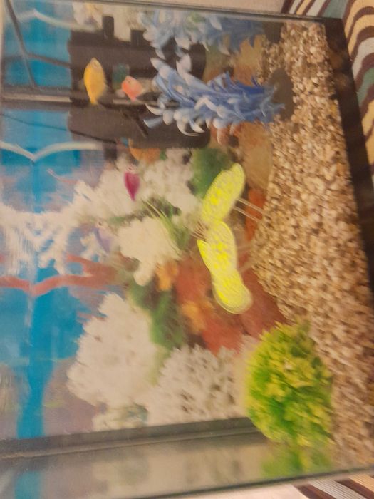 Продам аквариум, 18 литровый